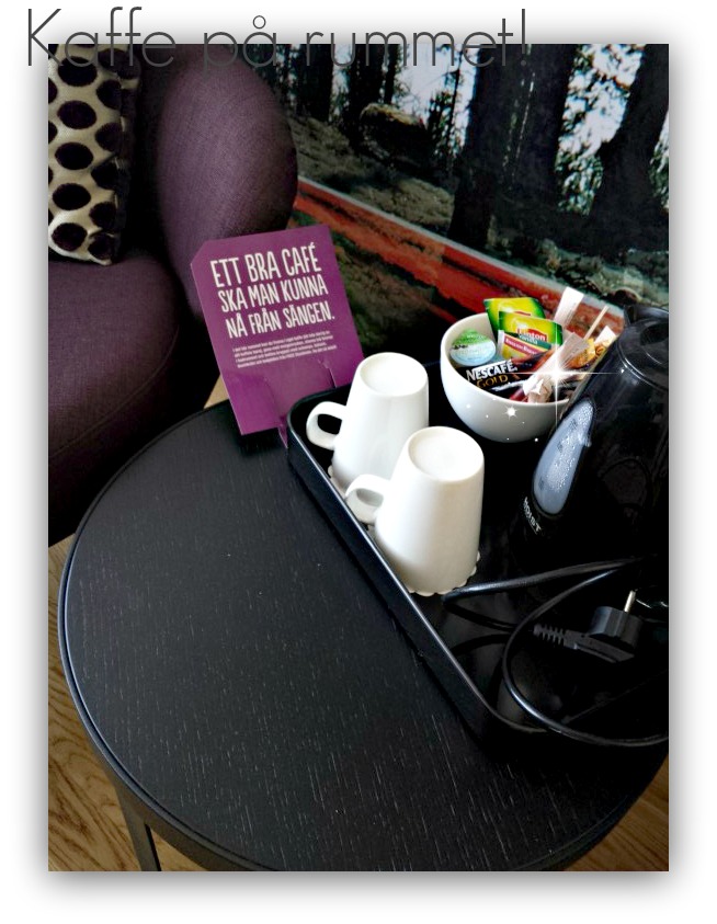 wpid-img_20140618_113802-755x566