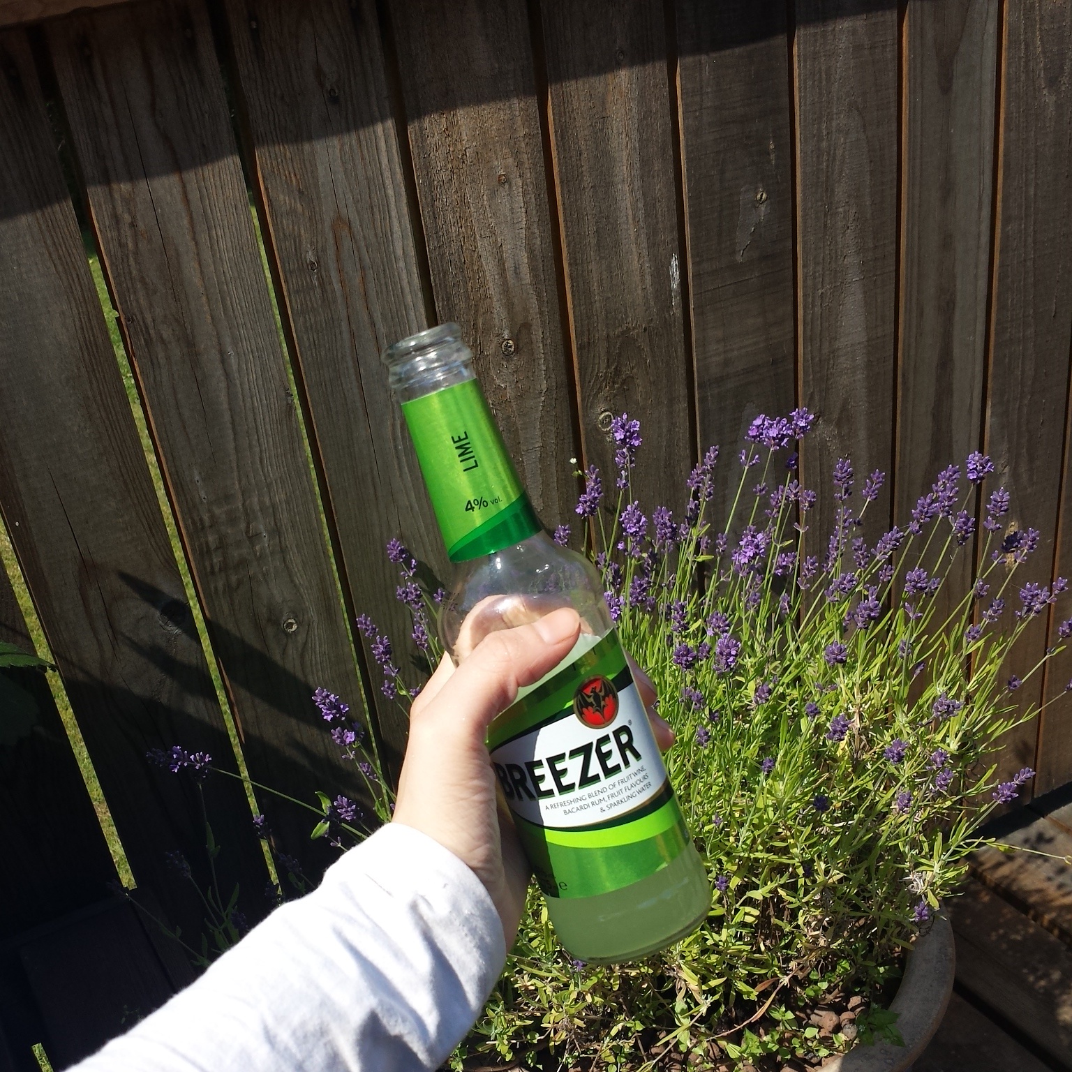 IMG_20140705_135818.jpg image