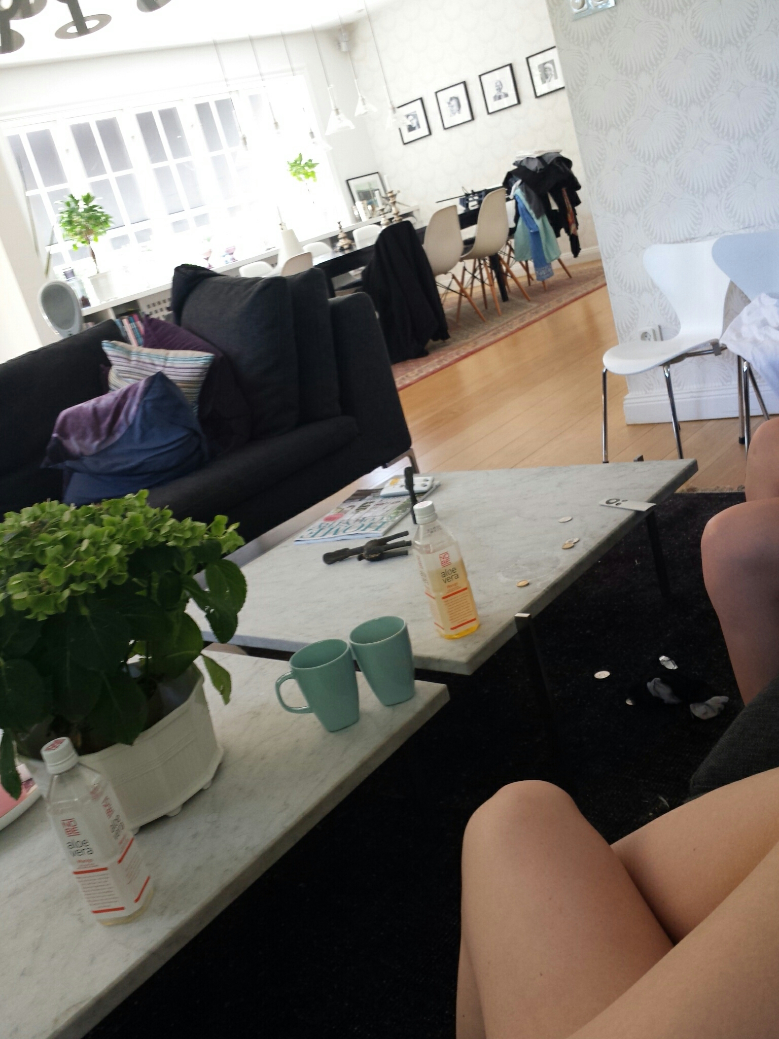 IMG_20140716_160034.jpg image