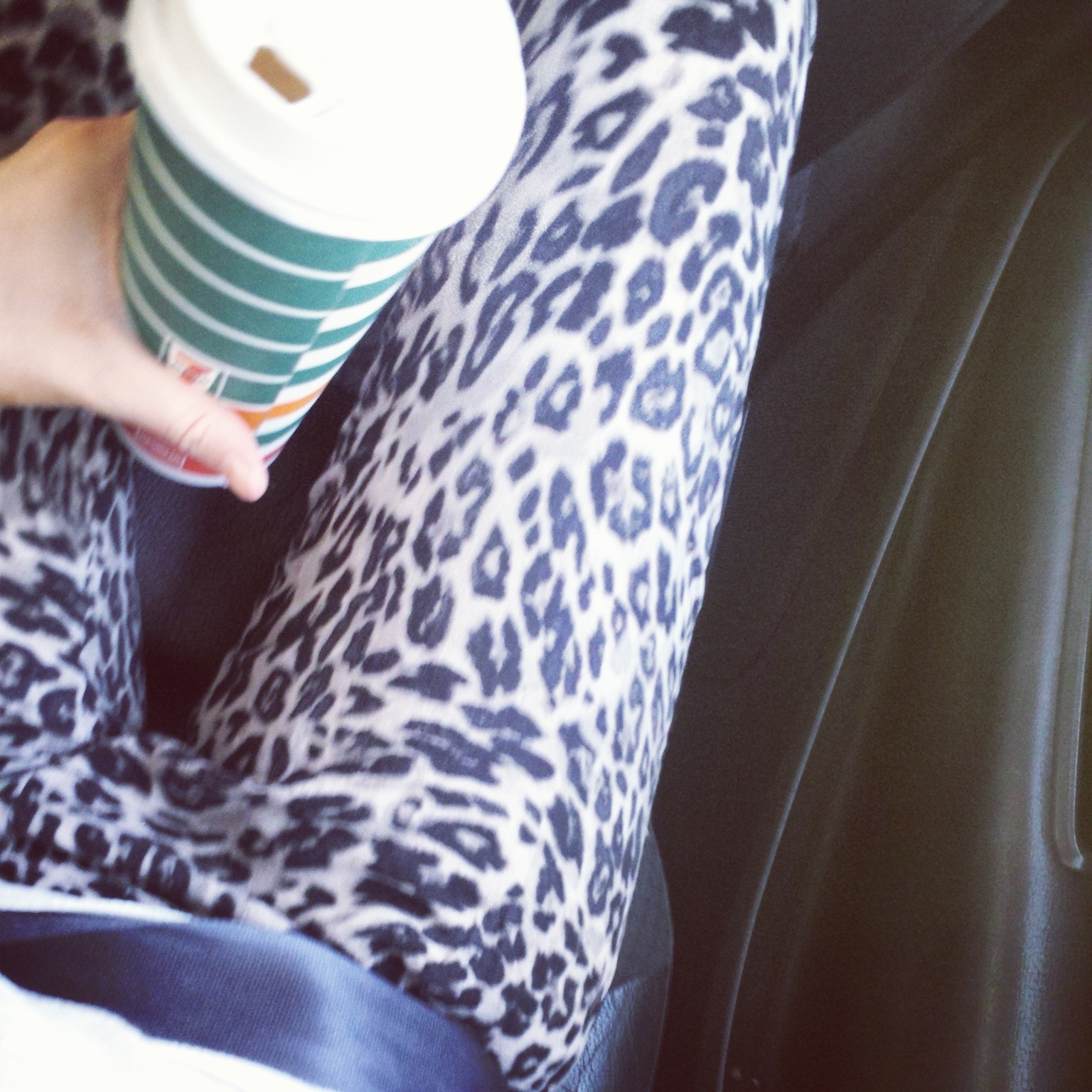 IMG_20141003_132231.jpg image