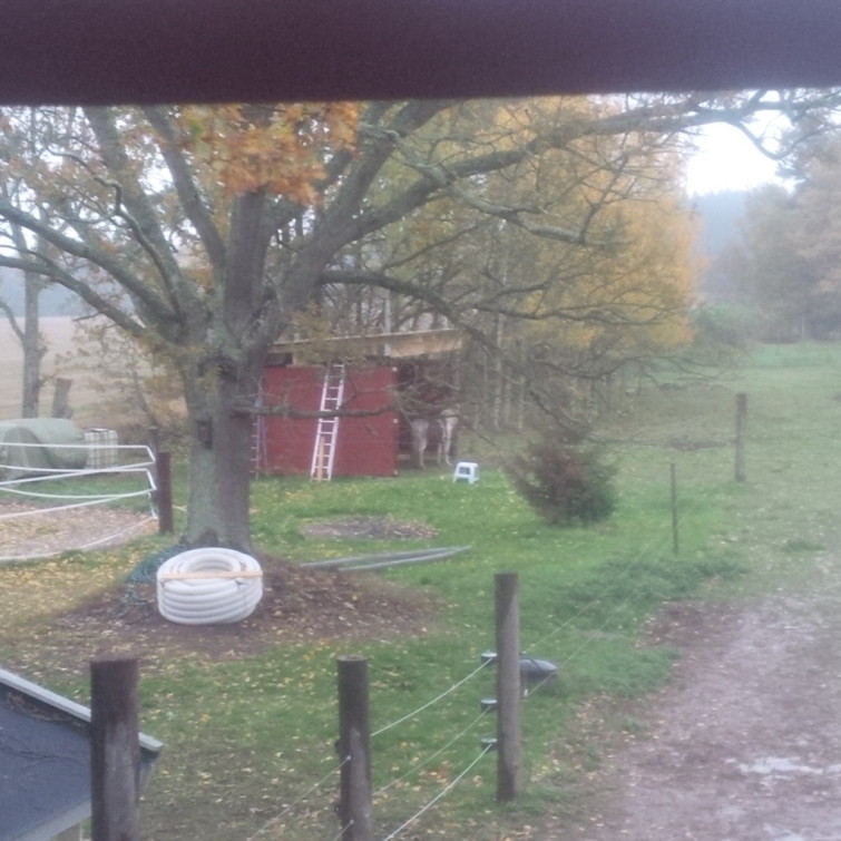 IMG_20141022_164906(1)