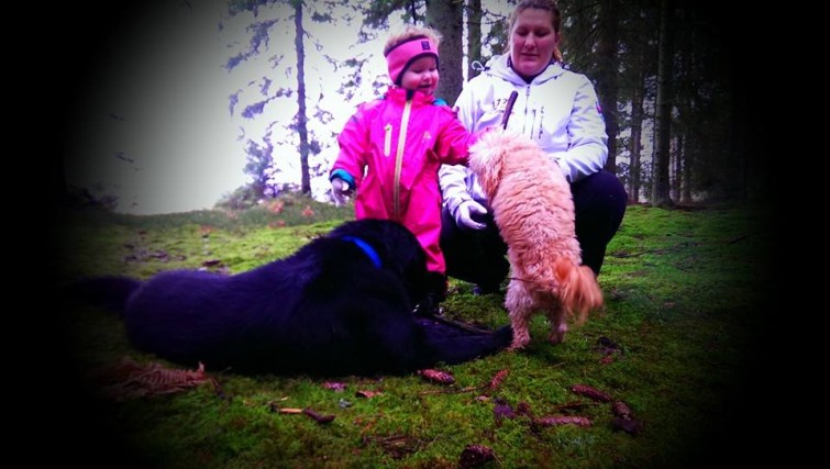 10805803_626936867412722_5600365962809194514_n