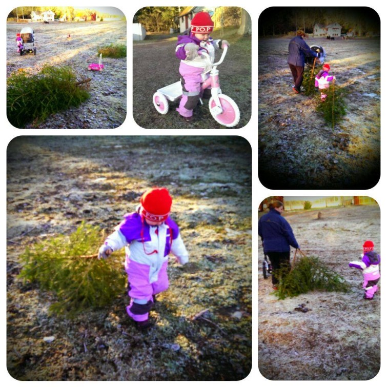 10848048_638838516222557_8119530037214099986_n