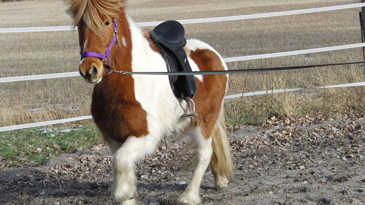 facebook-20150218-230534