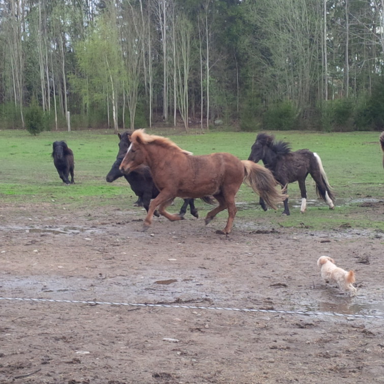 IMG_20150502_174014(1)