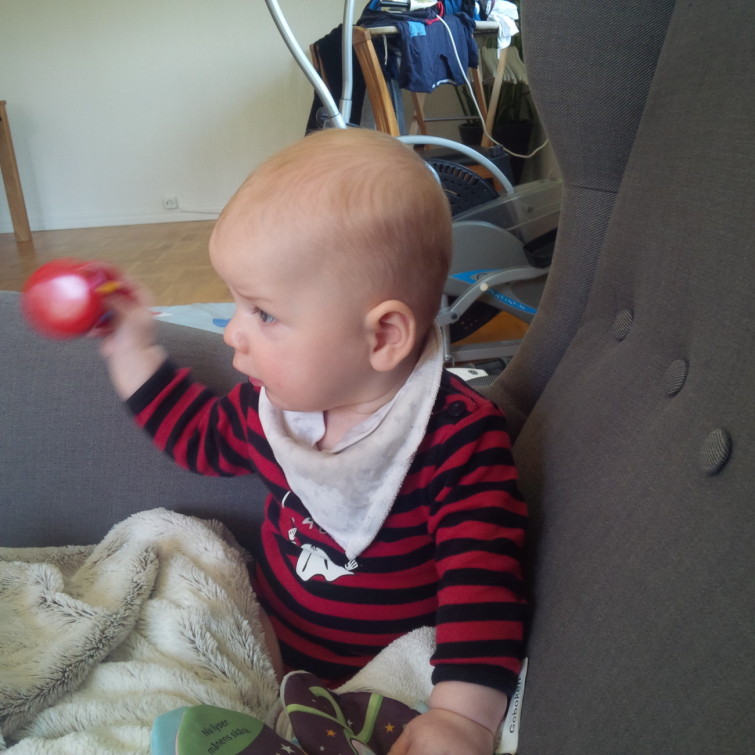 IMG_20150512_135535_1