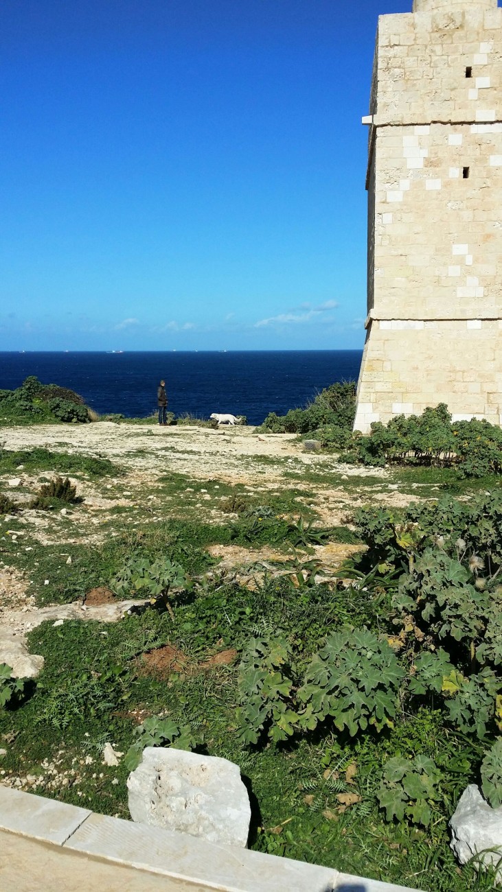 20150201_111818_resized