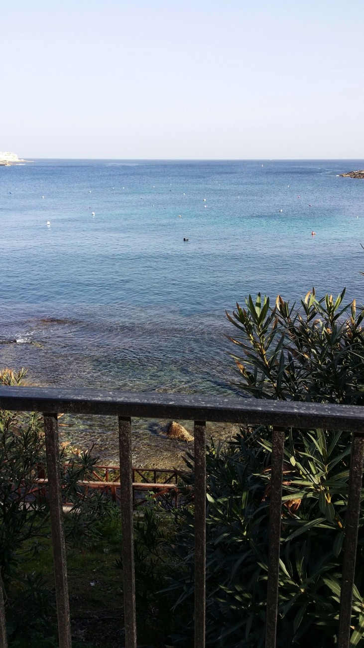 20150204_093735_resized