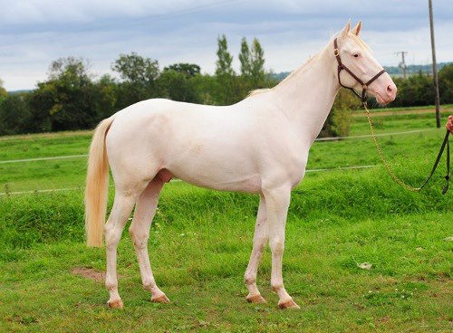 544435_151366141690029_489436504_n