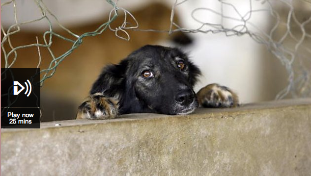 Skärmavbild 2014-05-20 kl. 21.39.55