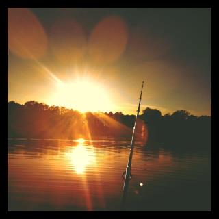 554719_10150813398881673_563161672_9880961_1995133505_n