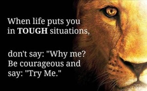 1239679_10152099990074807_1688788136_n