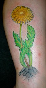 480989_513970091952632_1140166433_n