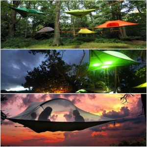 1511312_679008665475996_1789682344_n