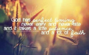 8585055511144345_VetQNaBr_c