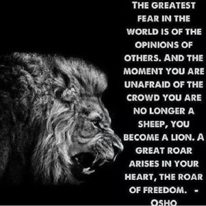 10377238_727003994011842_7786140537425240387_n