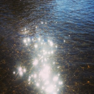 IMG_20140719_114132[1]