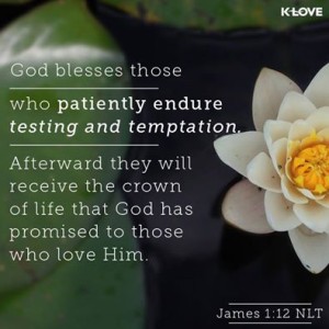 10603540_10152354253616961_732154867872109953_n