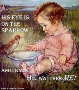 10620767_1491779457735791_7864584598548526697_n