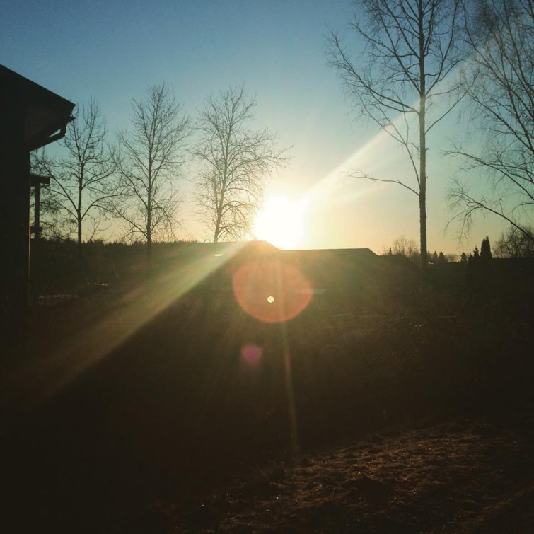 11096710_10155396848875424_292155335_n