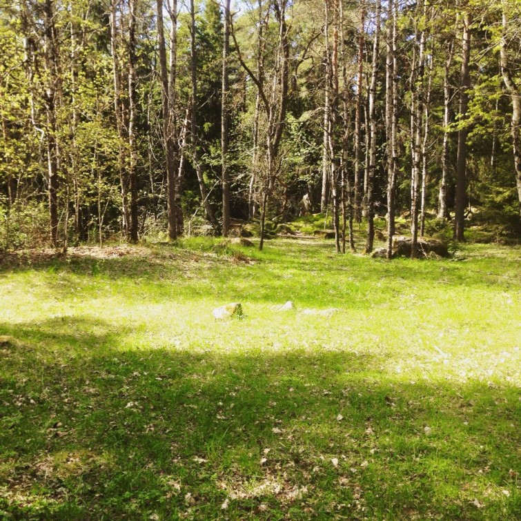 11215056_10155563302460424_2266204695472635648_n