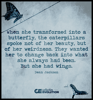 11038562_10153467802023908_3886040651899632306_n