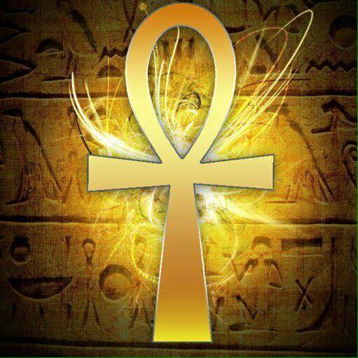 11817122_10153419163792976_6572441301095616305_n