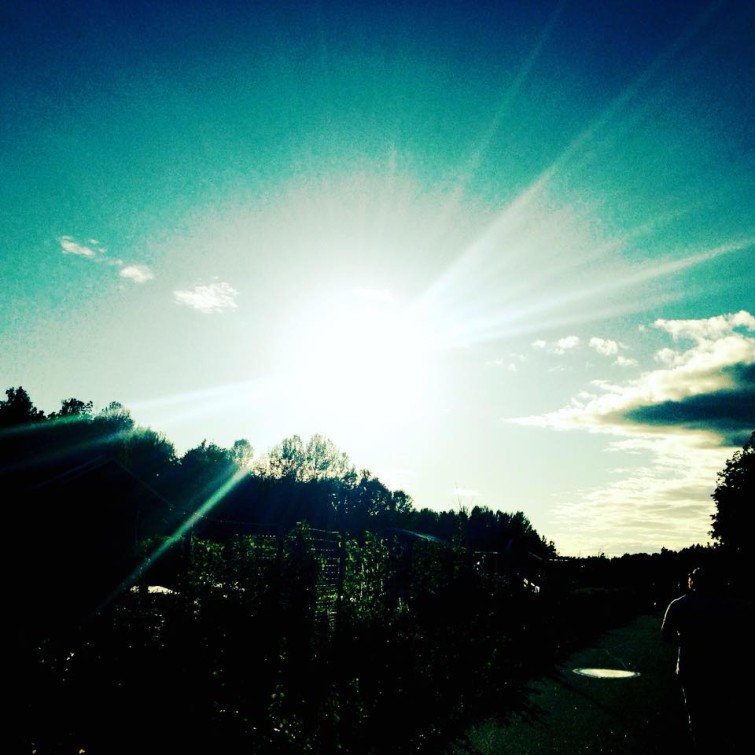 11249909_10156082367170424_1249192276510676940_n