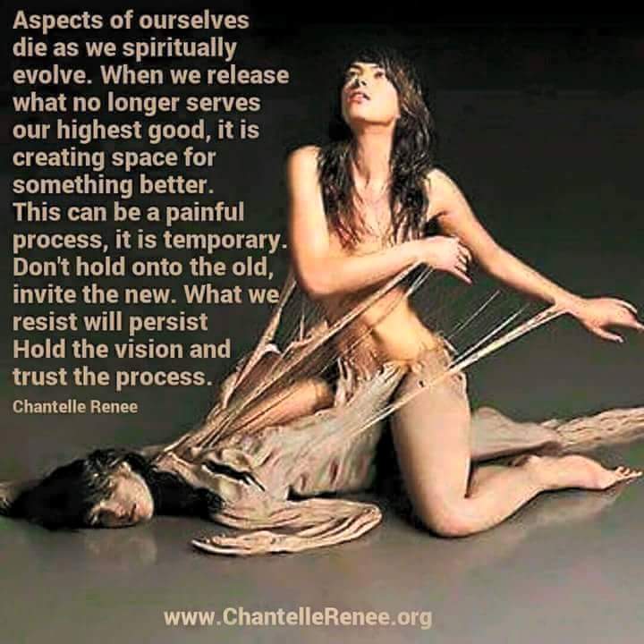 11988552_522166031274095_2452187817474136030_n