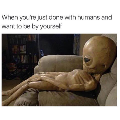 12985443_10205527272291426_4769036657717958362_n