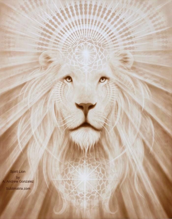 Spirit-Lion-pic