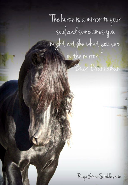 Apollo horse quote