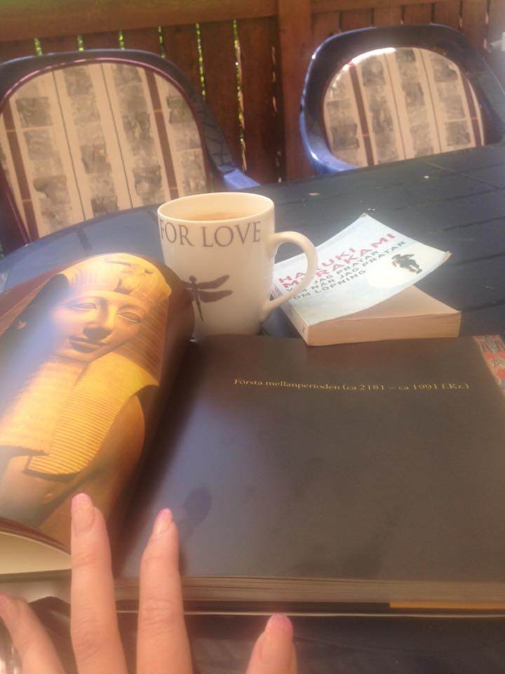 13626348_10157161007895424_984304538471203623_n