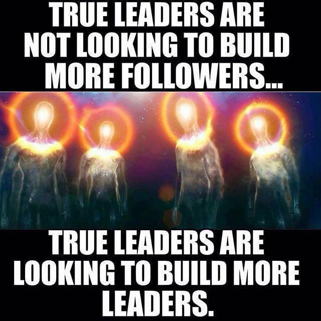 13775563_1211866425504385_723122795487363226_n