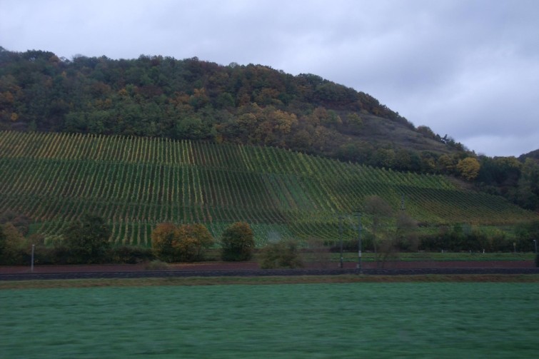 GEDSC DIGITAL CAMERA