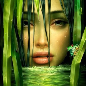 1620497_1386029144995505_1691133162_n