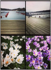 1522283_10202806294611343_94455051_n