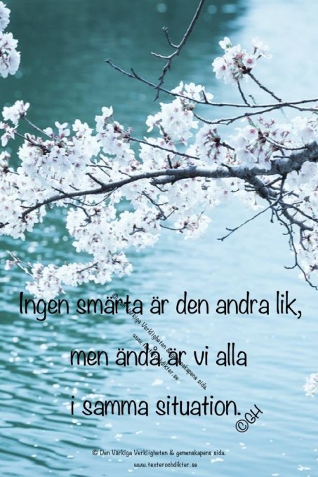 1974990_623518087702118_1997776025_n