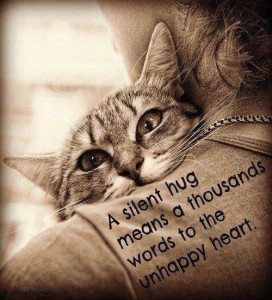 10440969_10203015576328213_6157270973083065398_n