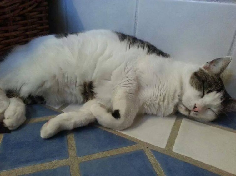 10176276_10203219253015045_1323297893166349165_n