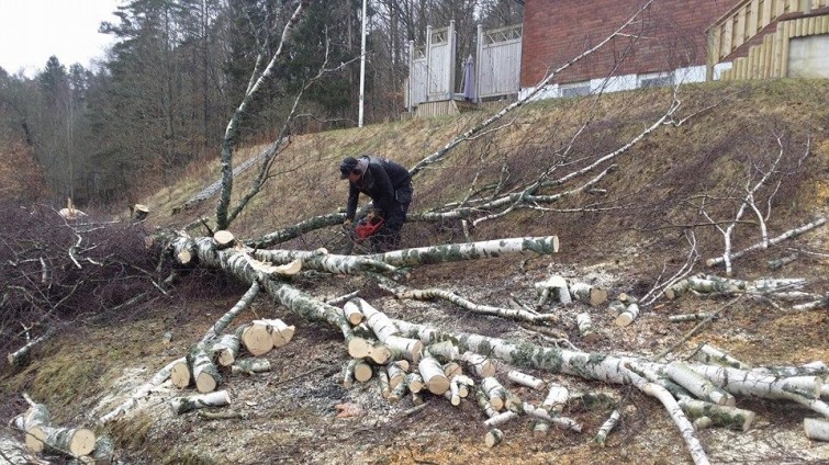 10382459_10205233496729879_6995162960200133921_n