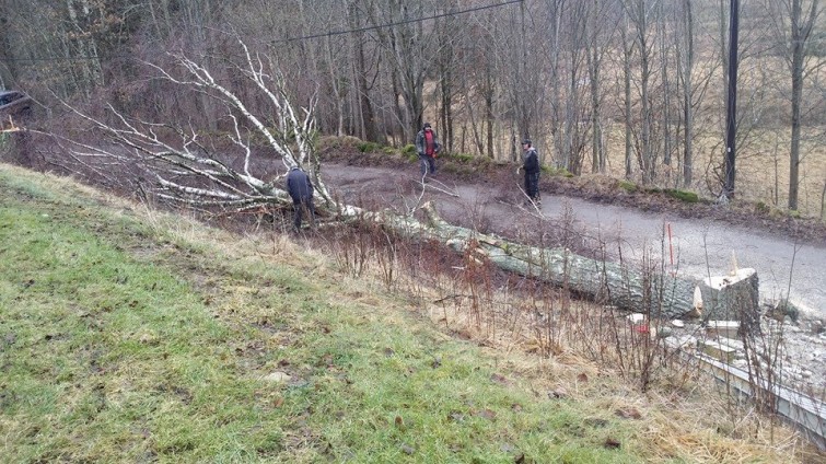 1907461_10205233496289868_3218554572084203171_n