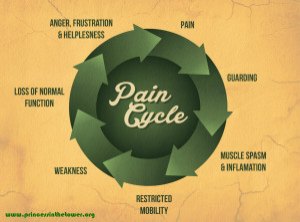 3-chart-pain-300x223_f_improf_300x223