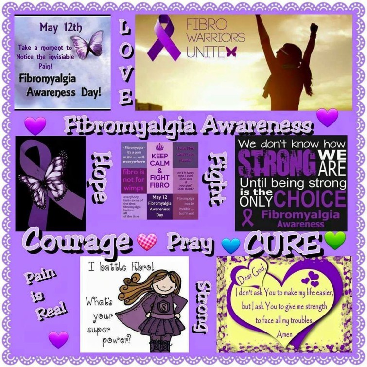 11221839_10206486479739950_3440682873949343817_n