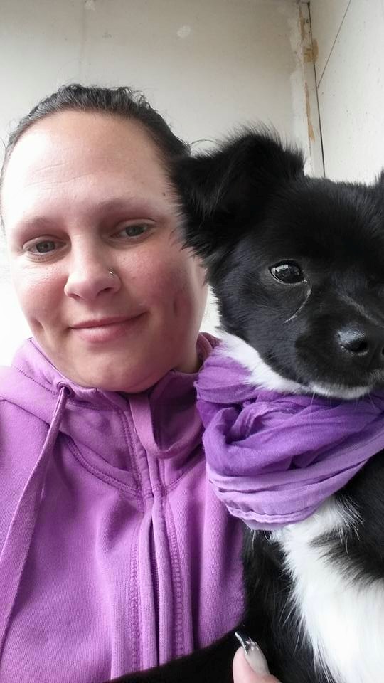 11235444_437095183139613_2644586649657189179_n