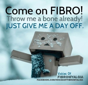 1461893_436805726419457_1769061309_n