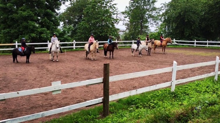 11751476_10153494430006489_6378253156329671993_n