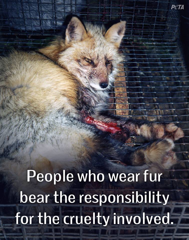 10260001_10152389976434586_1807080615792172076_n