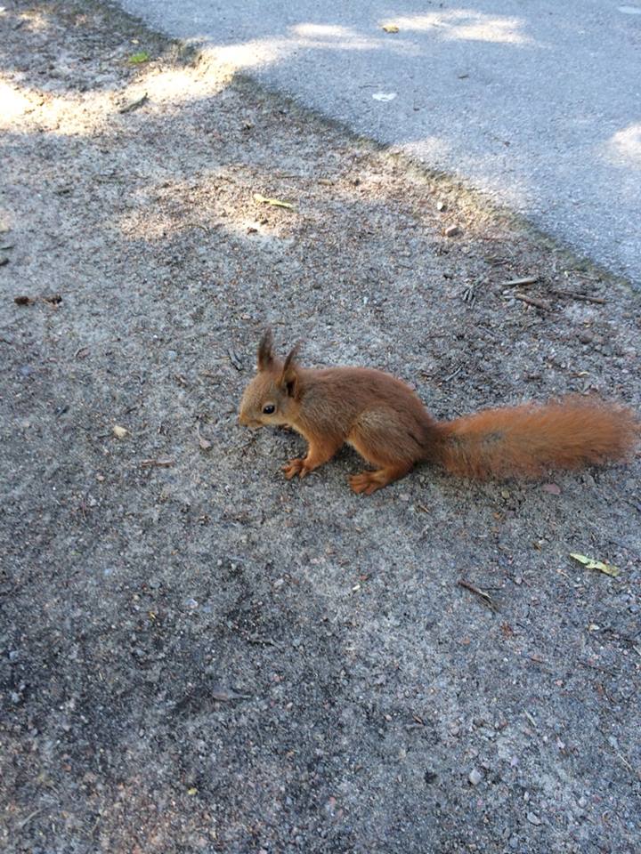 10371468_10152468237215993_4639642912288078221_n