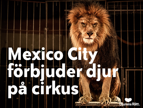 10458305_10152477966383633_9117835308134612229_n